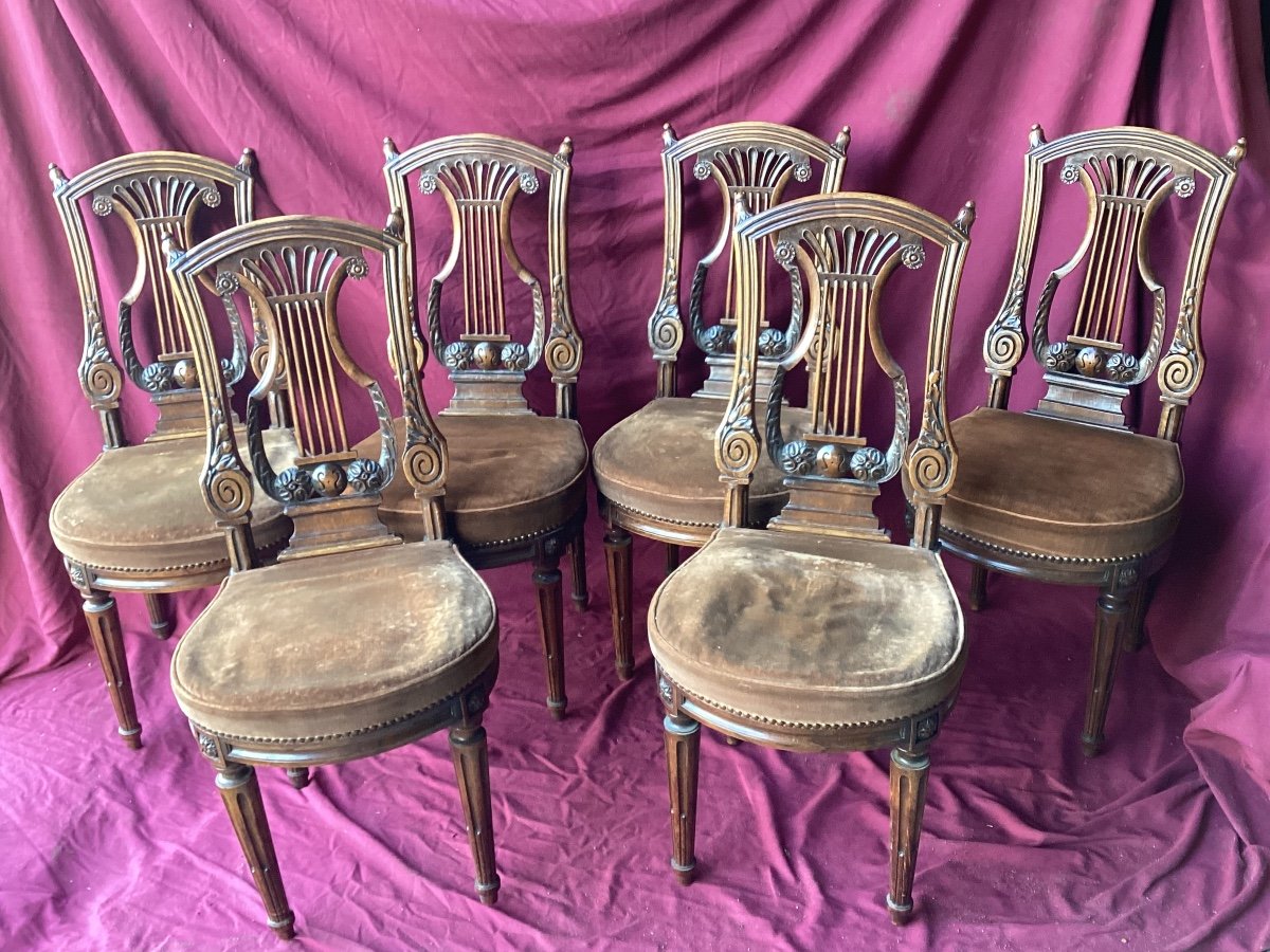 Series Of Six Lyre Back Chairs 