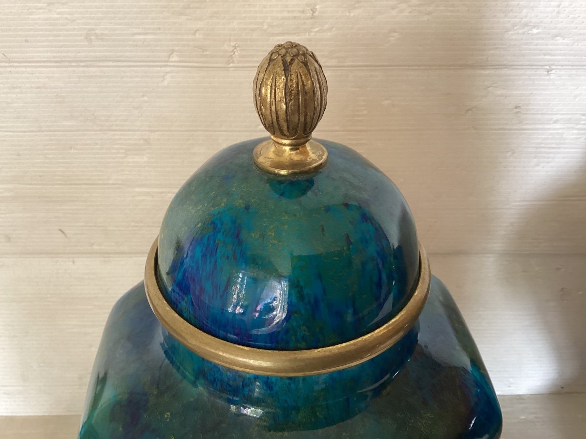 Pair Of Sèvres Covered Vases -photo-6