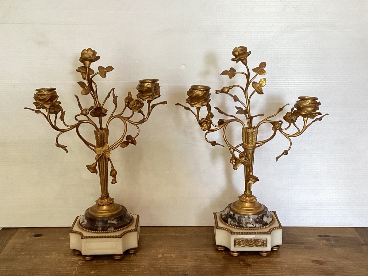 Louis XVI Fireplace Trim -photo-4