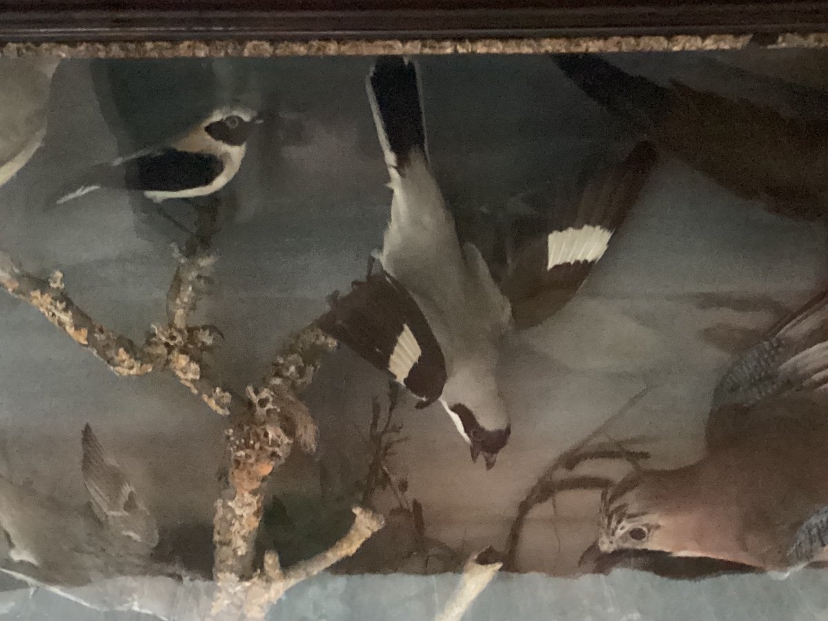 Diorama 19th Century -photo-2