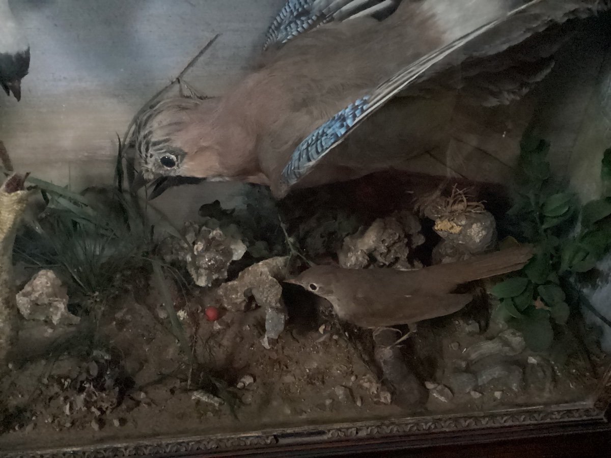 Diorama 19th Century -photo-3