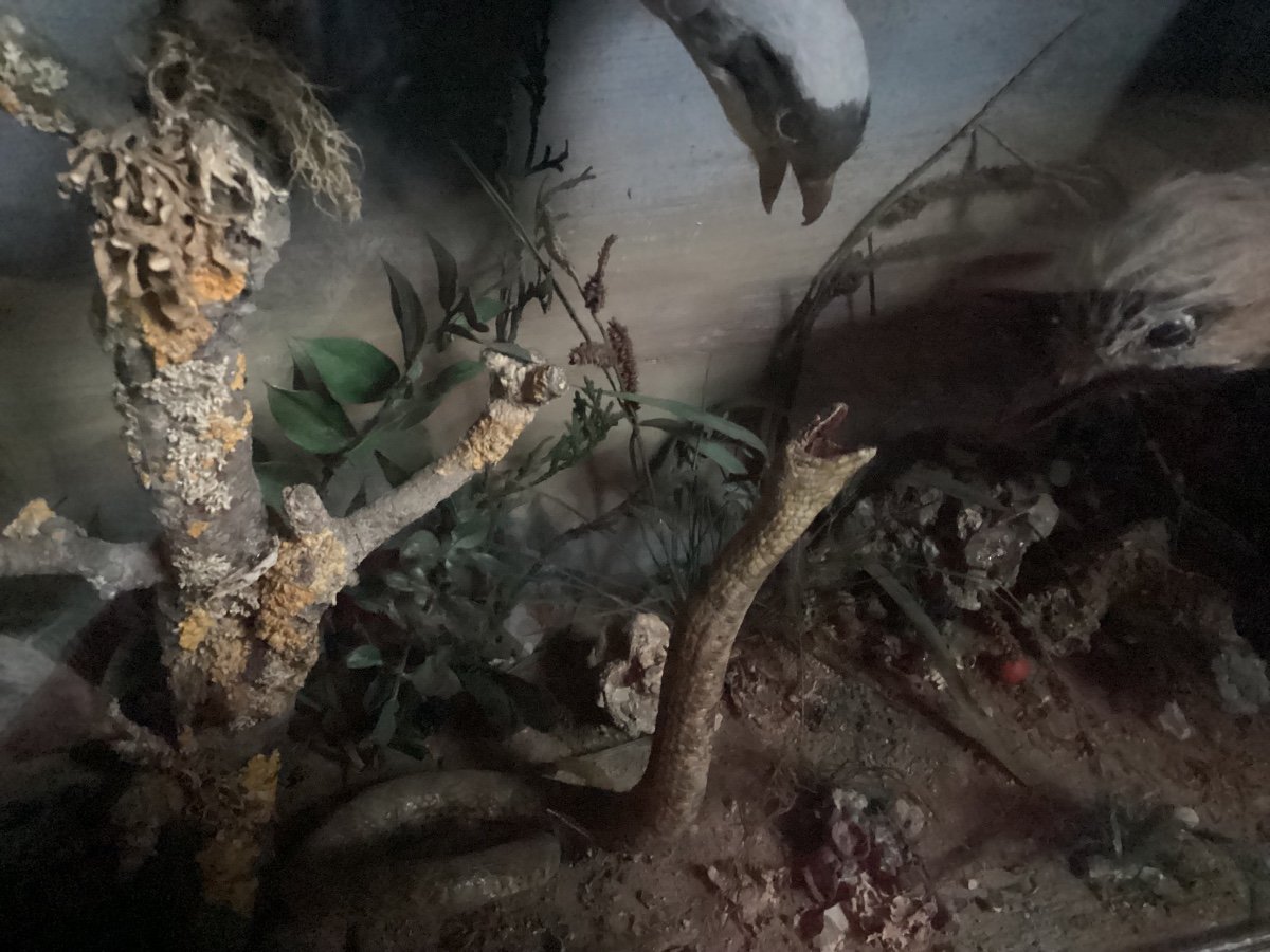 Diorama 19th Century -photo-4