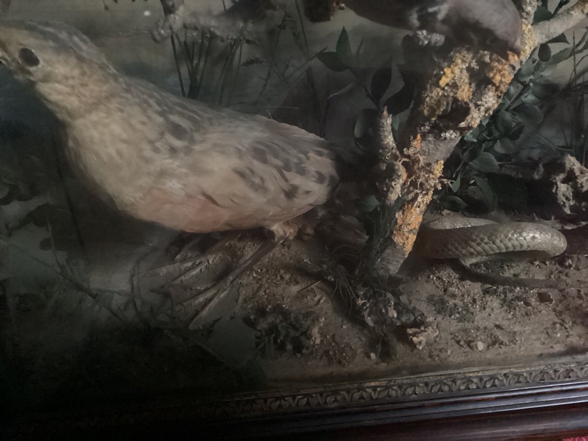 Diorama 19th Century -photo-1