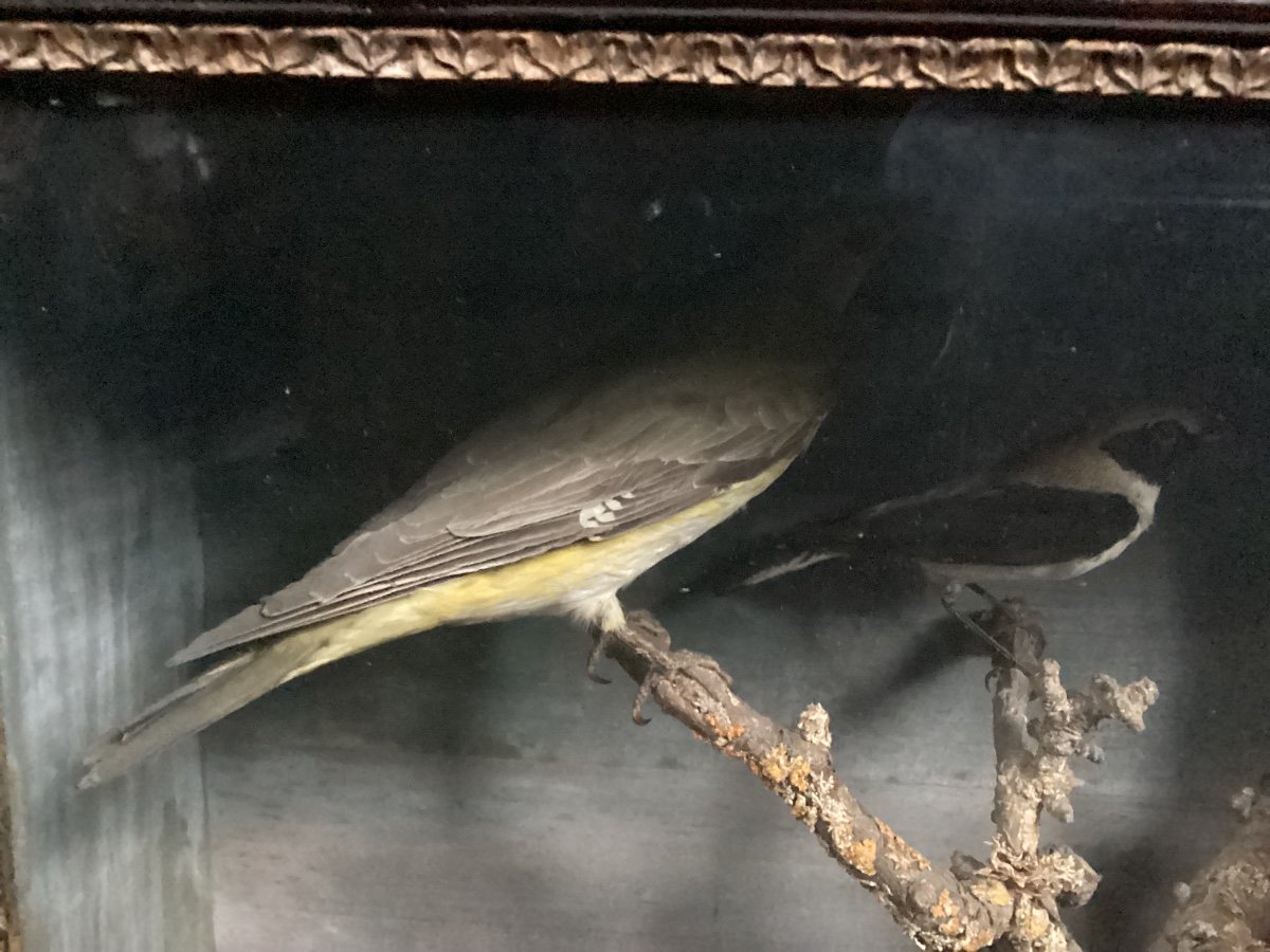 Diorama 19th Century -photo-6