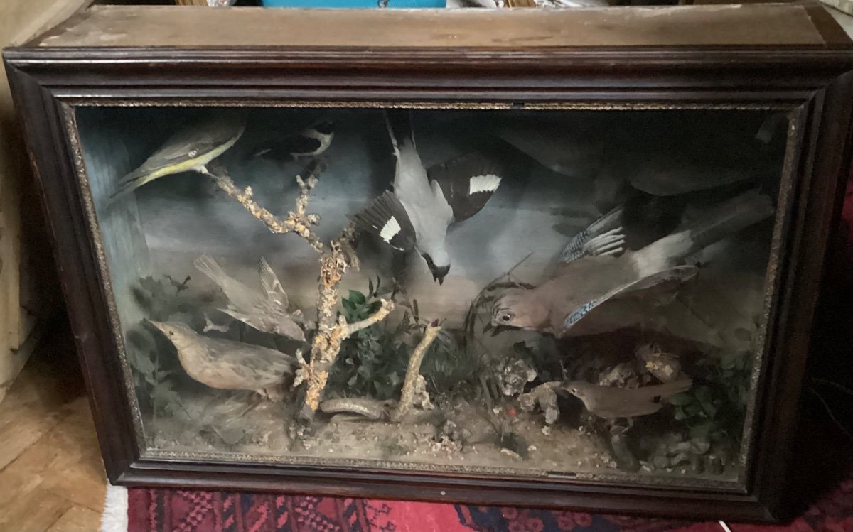 Diorama 19th Century -photo-8