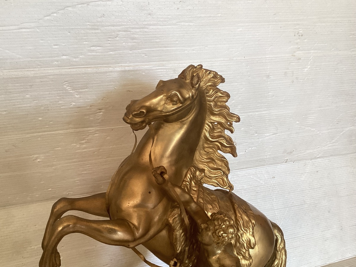 The Horses Of Marly, Gilded Bronze -photo-4