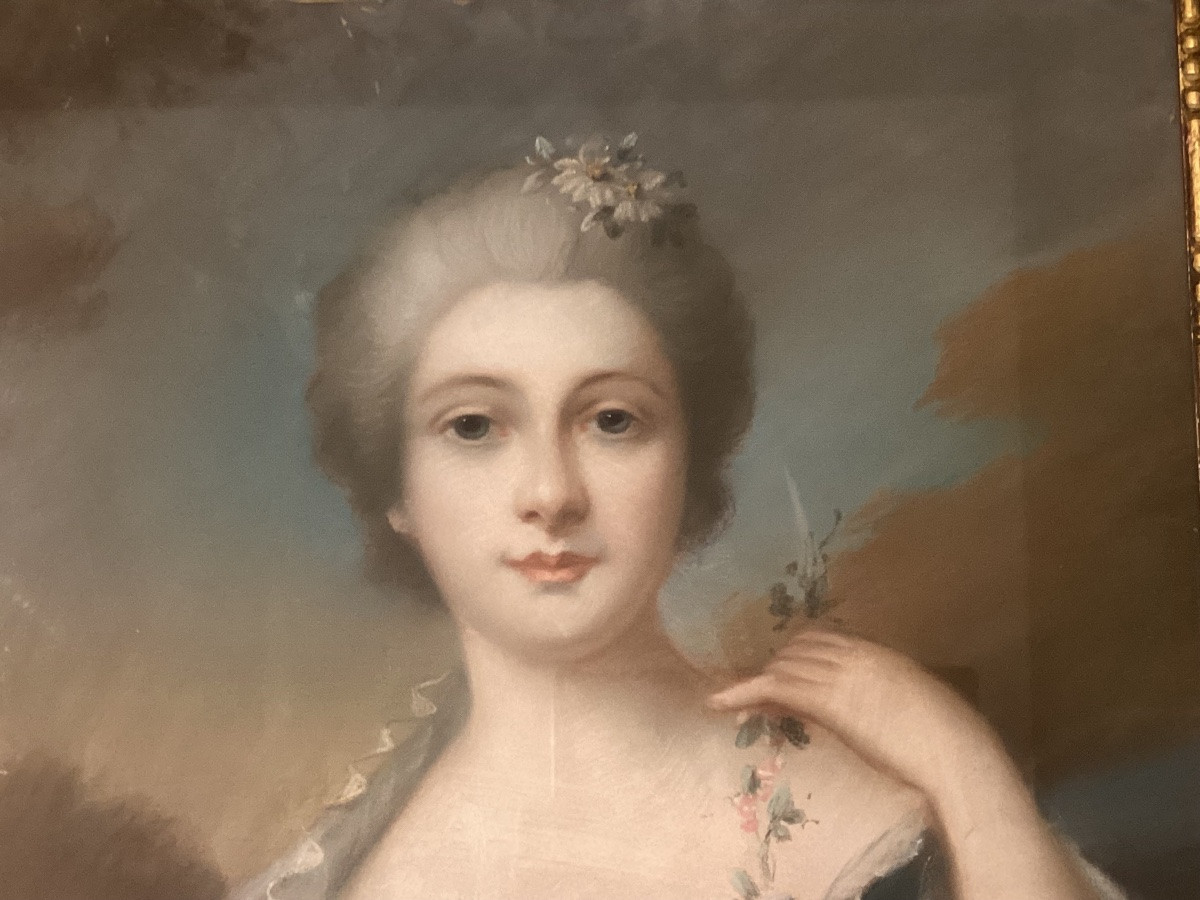 Louis XVI Pastel -photo-3