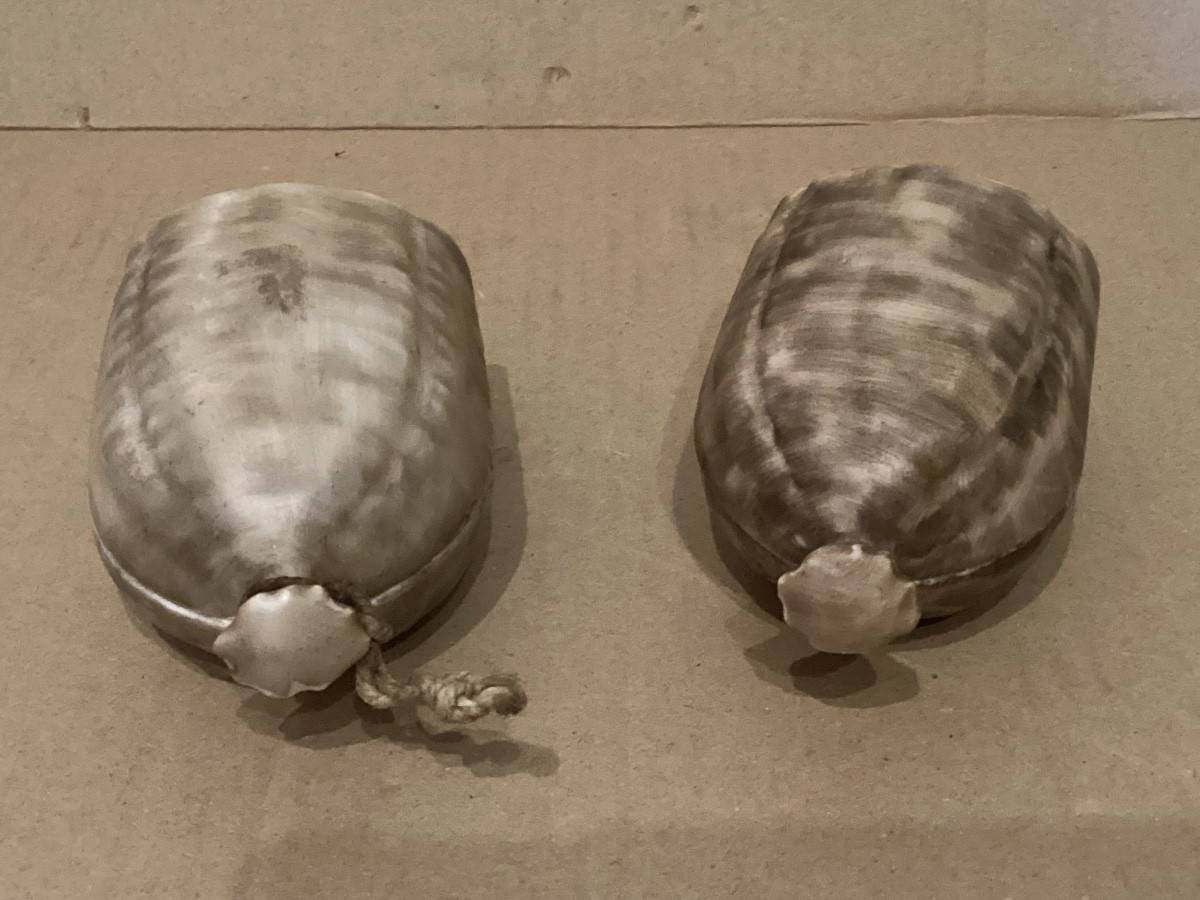 Pair Of Signed Trompe-l'oeil Paintings-photo-4