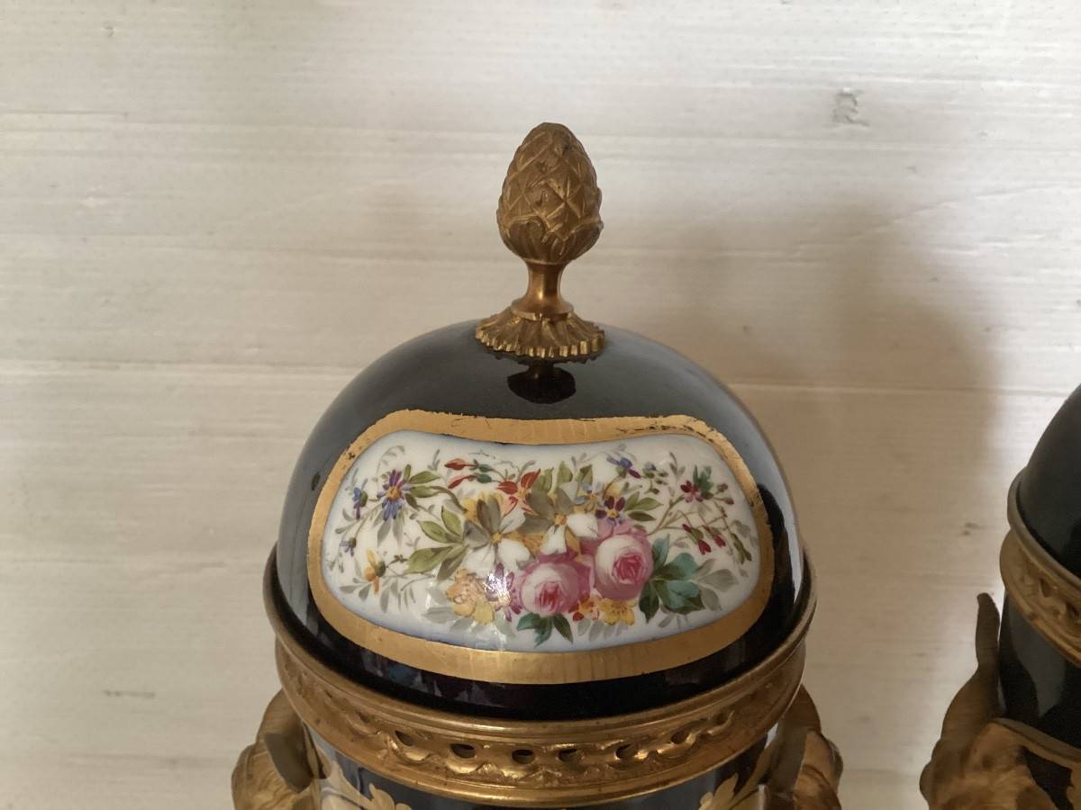 Pair Of Sèvres Vases-photo-3