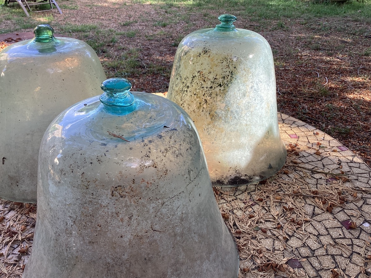18th-century Market Gardener's Bells -photo-3