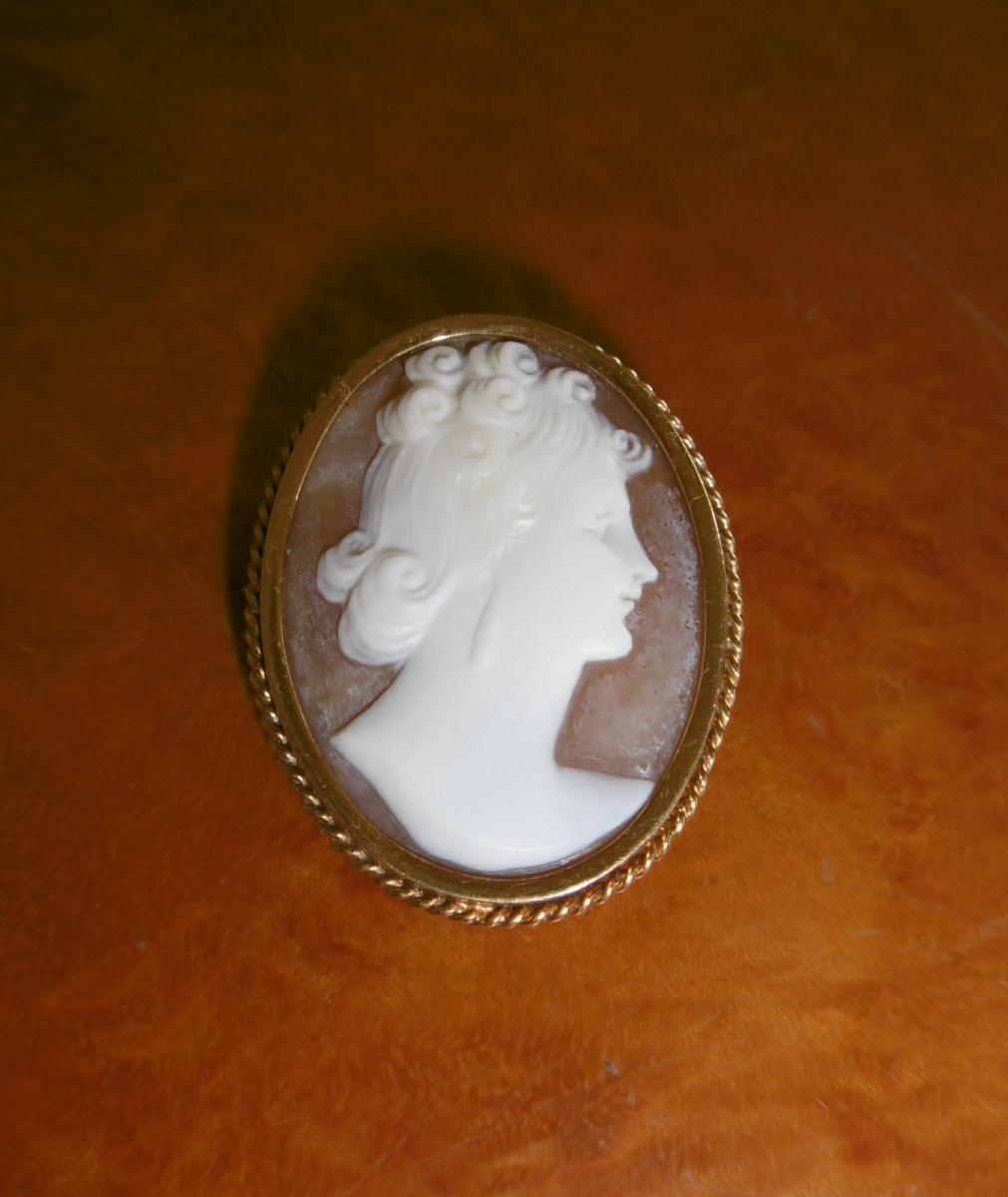 Cameo Brooch