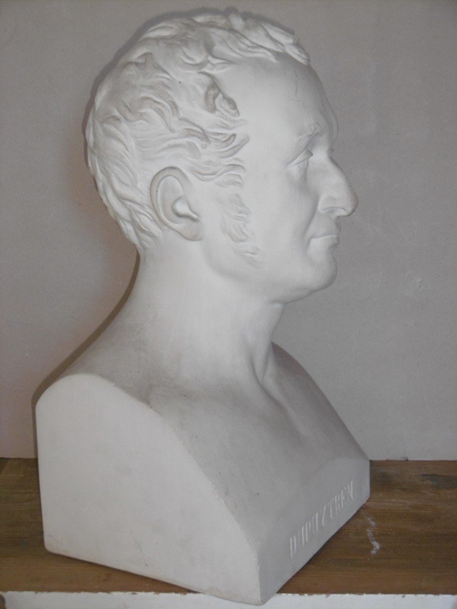 Bust Of Baron De Dupuytren-photo-3