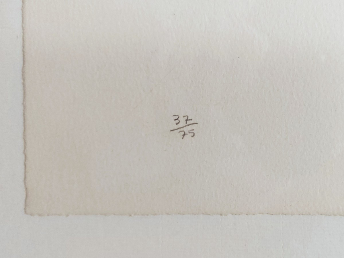 Alexander Calder - lithographie galerie Maeght - "Deux spirales" 75ex.-photo-4