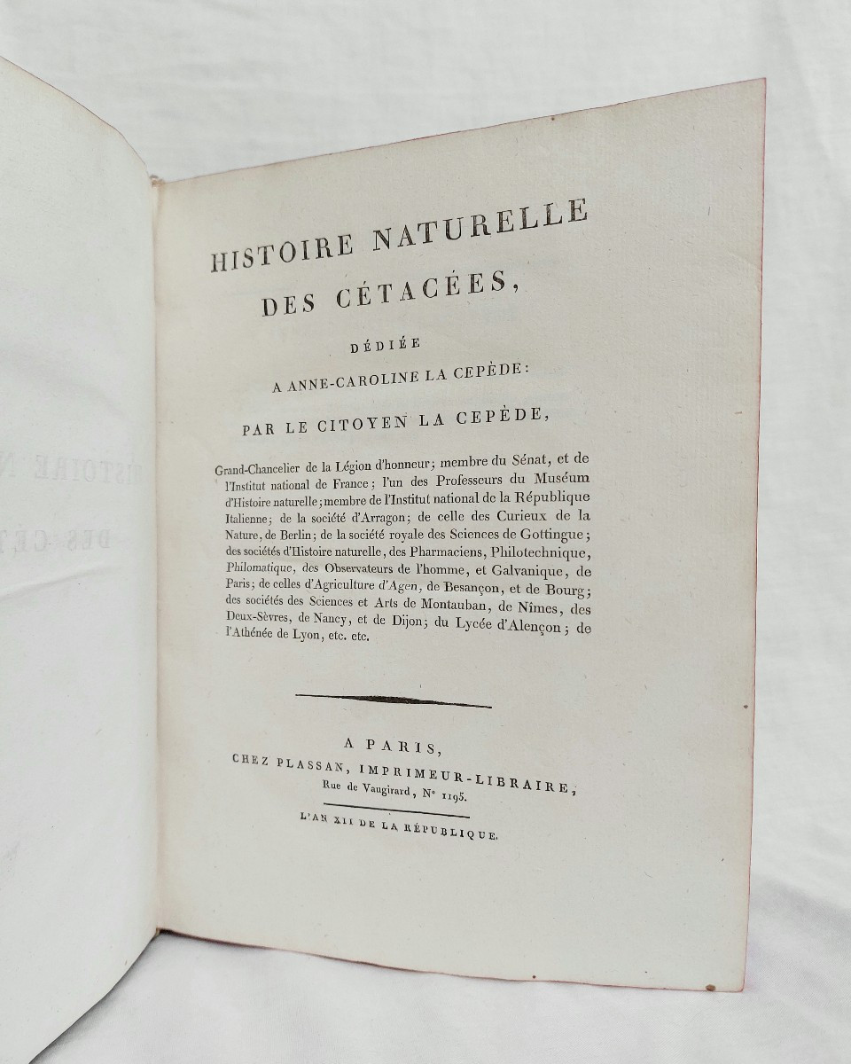 Lacépède - The Cetaceans - Complete In 1 Vol. In-4 Antique Book On Natural History-photo-3