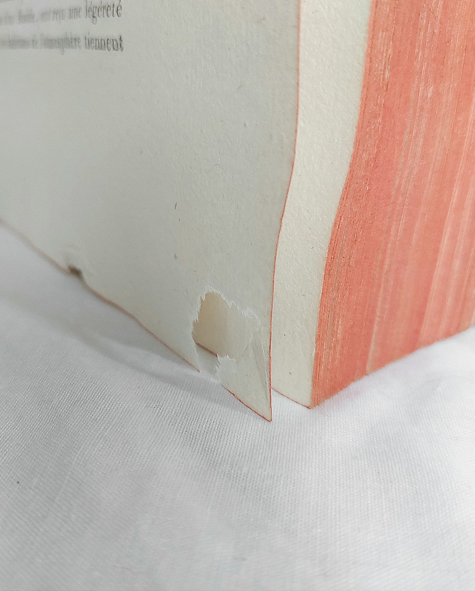 Lacépède - The Cetaceans - Complete In 1 Vol. In-4 Antique Book On Natural History-photo-6