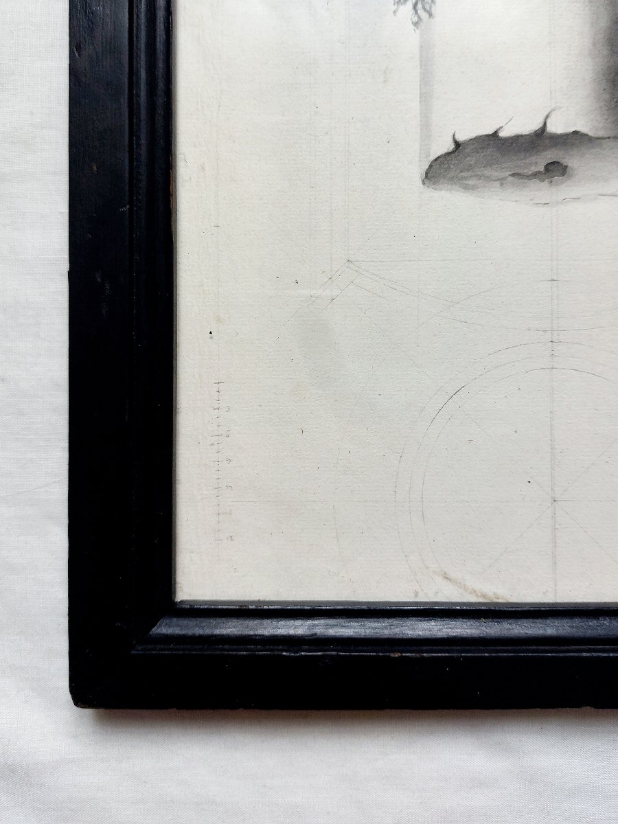 Dessin ancien - chapiteau antique - étude XIX ornement architectural-photo-1