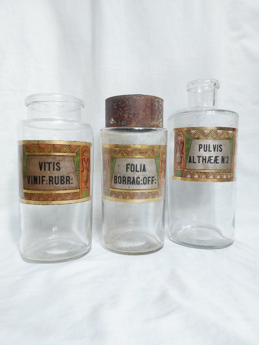 Set Of Late 19th-century Pharmacy Jars, "egyptomania"—cabinet Of Curiosities—pharmacology-photo-4