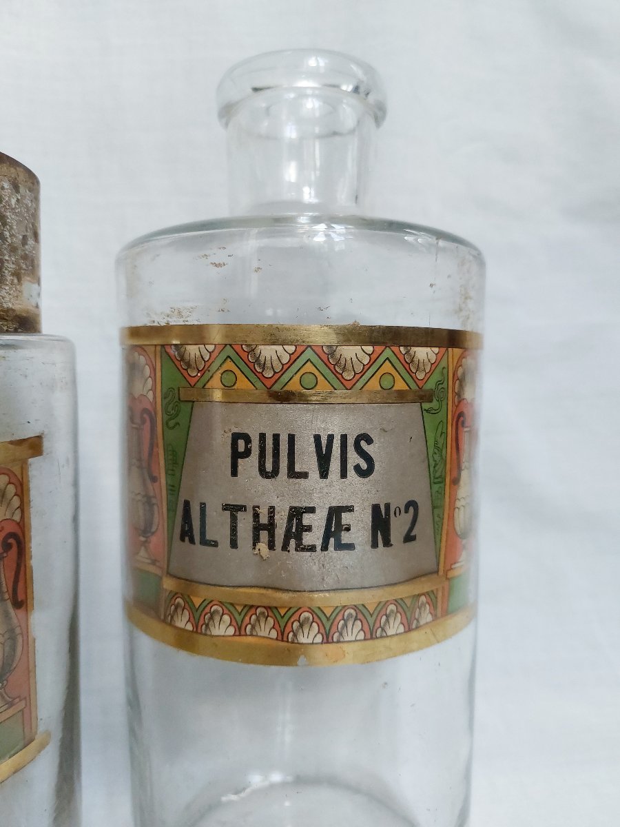 Set Of Late 19th-century Pharmacy Jars, "egyptomania"—cabinet Of Curiosities—pharmacology-photo-1