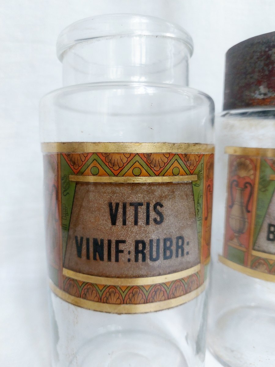 Set Of Late 19th-century Pharmacy Jars, "egyptomania"—cabinet Of Curiosities—pharmacology-photo-2