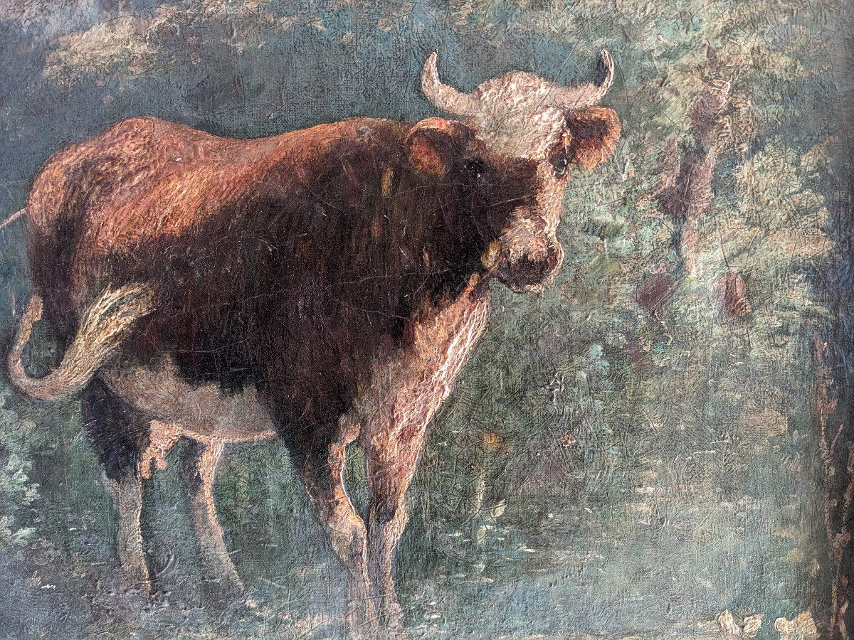 The Charming Cow And Her Man...-photo-4