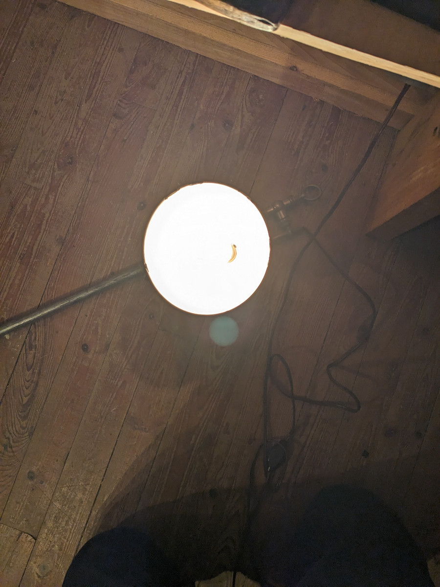 A Workshop Lamp-photo-2