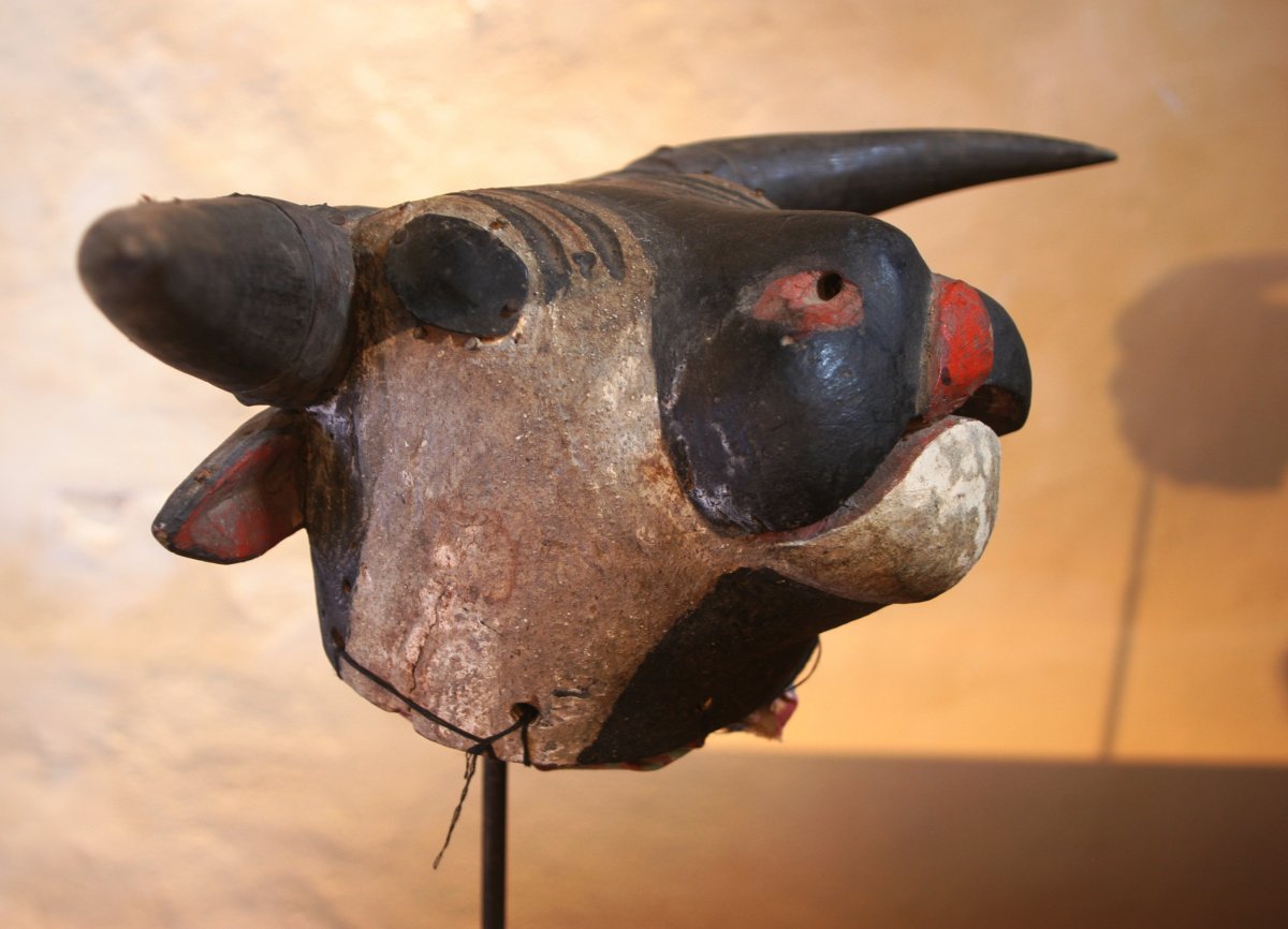 Vacca Bruto Mask