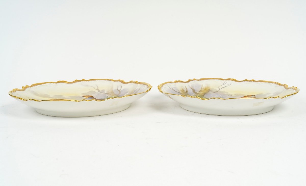 Pair Of Porcelain Plates, Maison Limoges, 19th Century -photo-6
