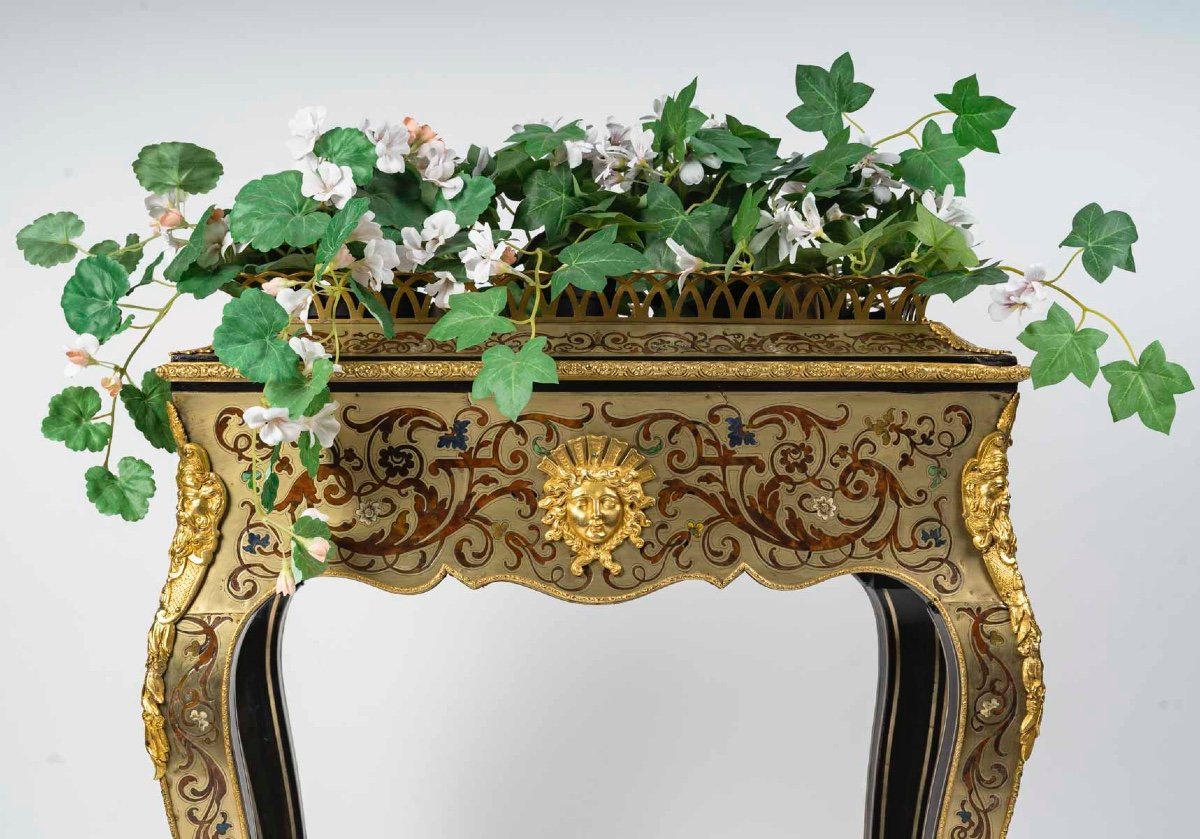 Pair Of Colored Boulle Marquetry Planters – 19th Century-photo-3