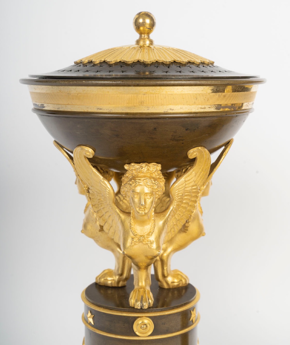 Pair Of Empire Gilt Bronze Cassolettes With Winged Sphinxes, France, Empire Period-photo-3
