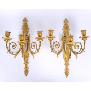 Pair Of Gilt Bronze Wall Lights, 19th Century