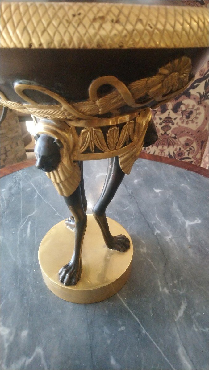Coupe Couverte En Bronze à 2 Patines Style Empire 20e -photo-3