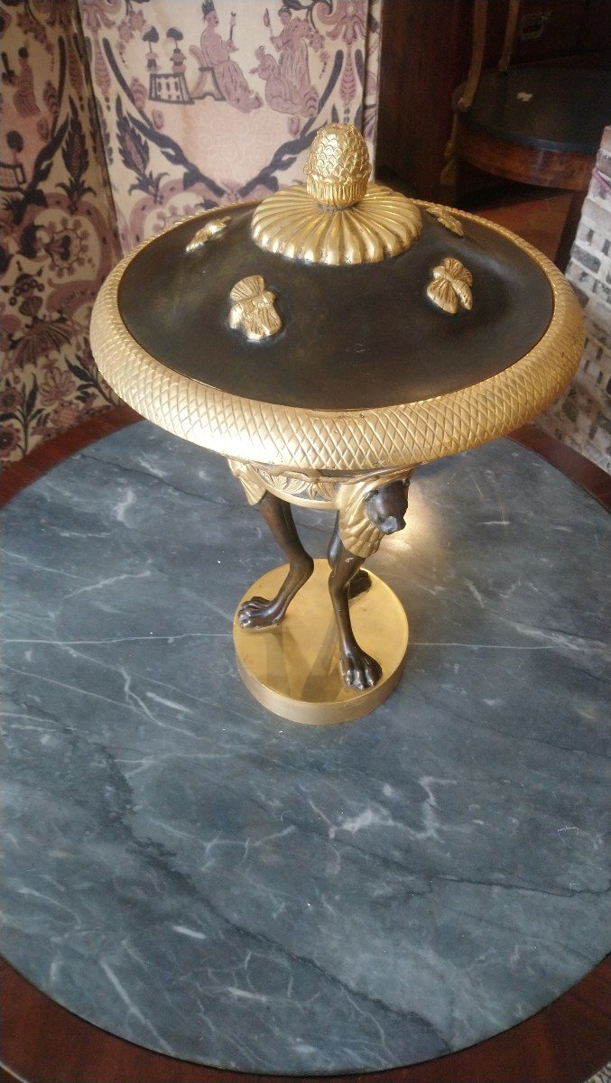 Coupe Couverte En Bronze à 2 Patines Style Empire 20e -photo-4