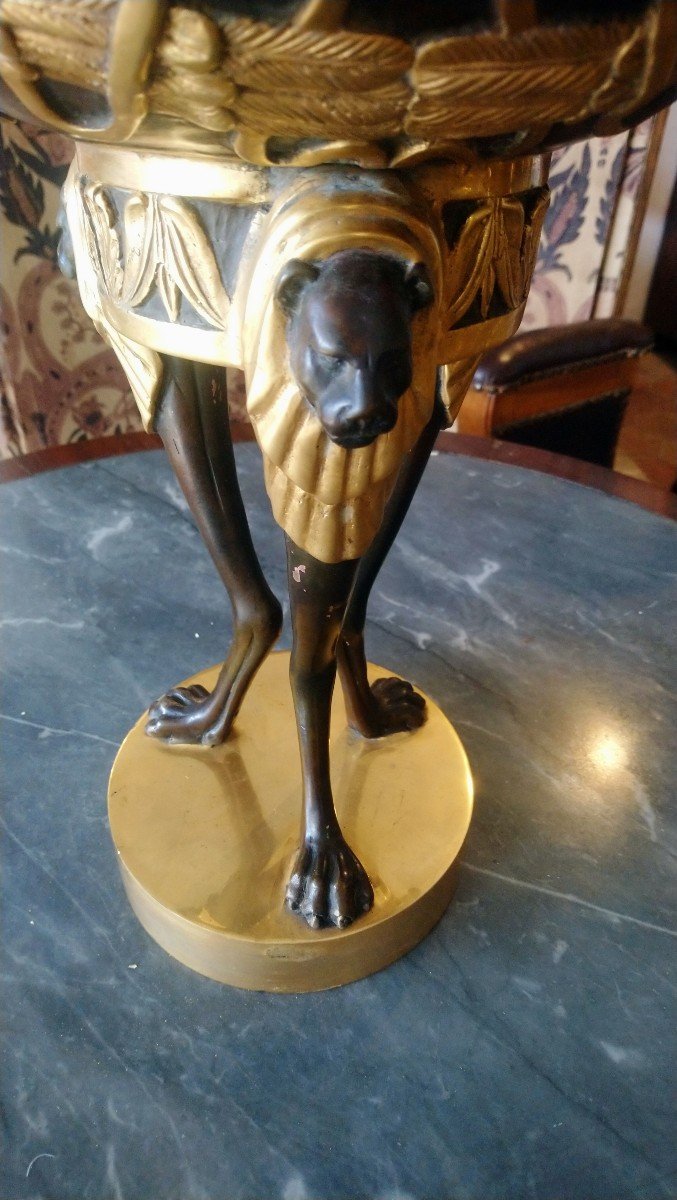 Coupe Couverte En Bronze à 2 Patines Style Empire 20e -photo-1