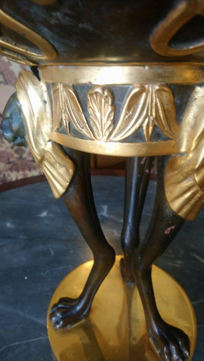 Coupe Couverte En Bronze à 2 Patines Style Empire 20e -photo-2