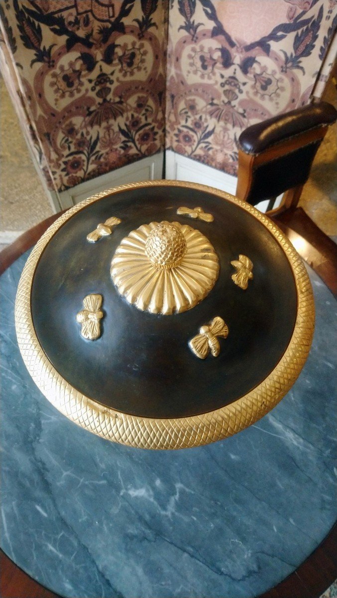 Coupe Couverte En Bronze à 2 Patines Style Empire 20e -photo-3