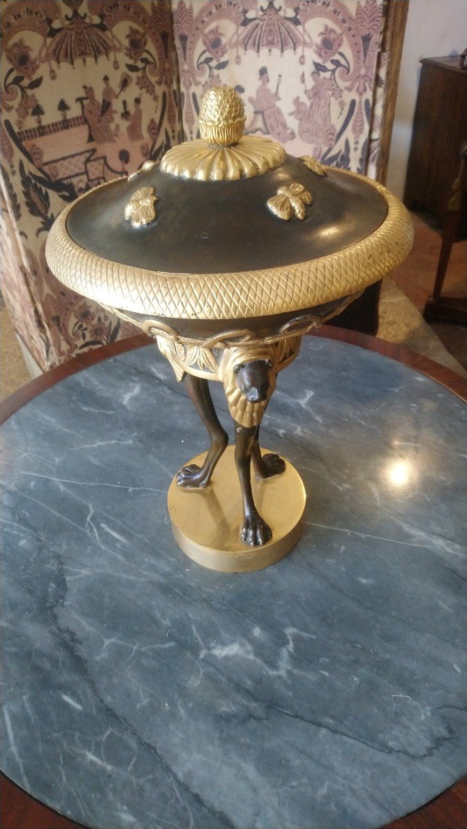Coupe Couverte En Bronze à 2 Patines Style Empire 20e -photo-5