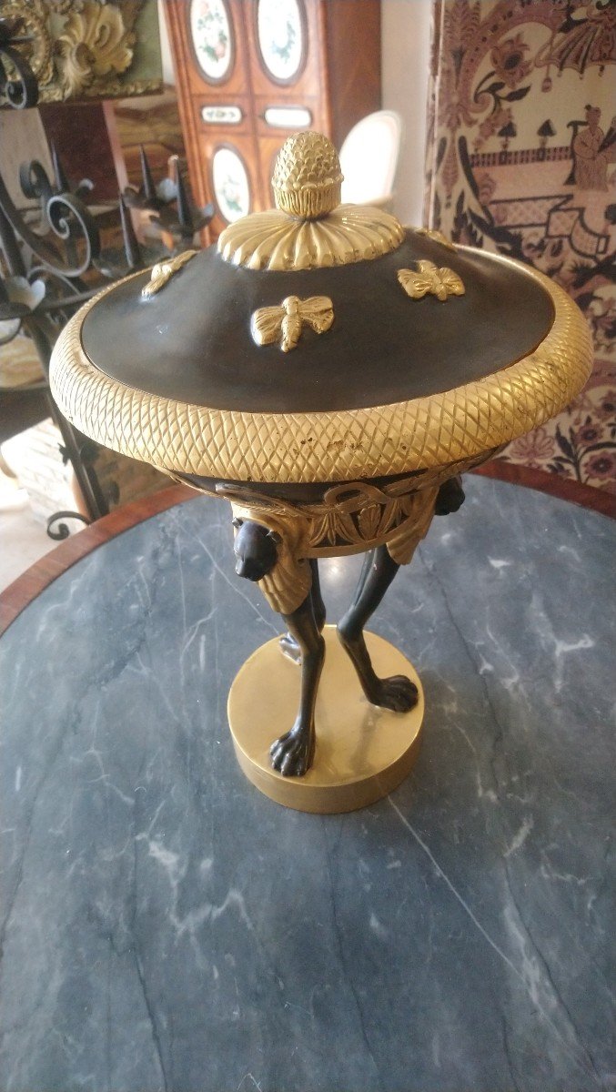 Coupe Couverte En Bronze à 2 Patines Style Empire 20e -photo-6