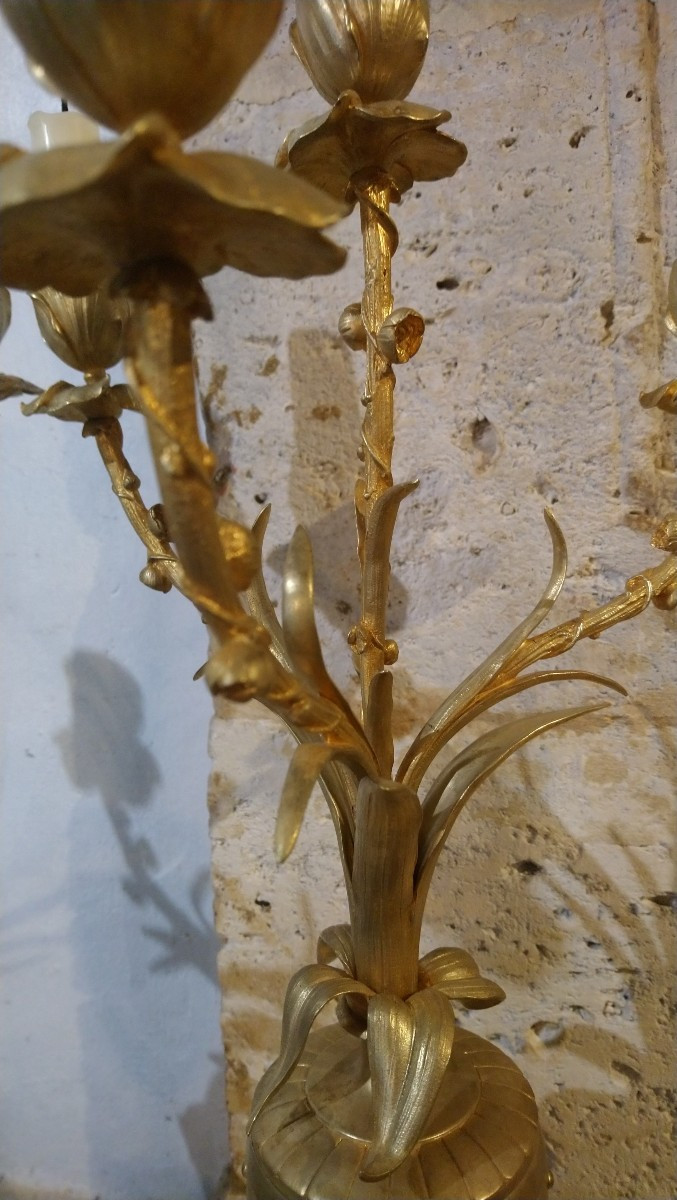 Pair Of Late 19th Century Bronze Candelabra -photo-1