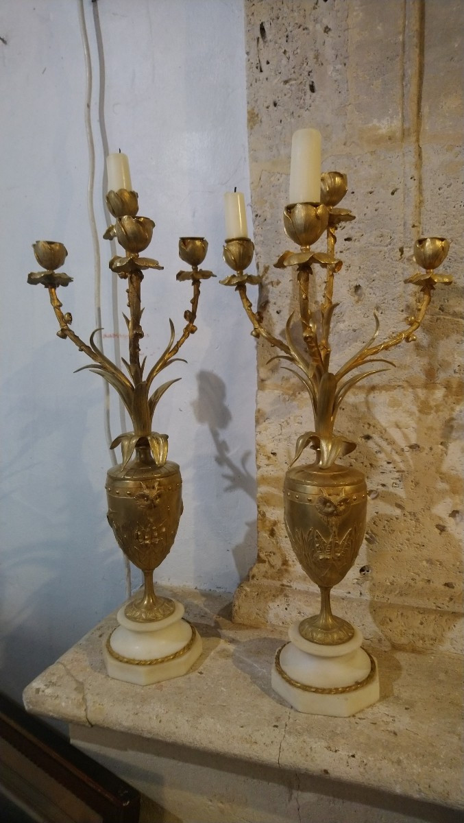 Pair Of Late 19th Century Bronze Candelabra 