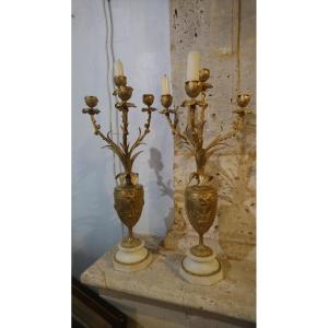 Pair Of Late 19th Century Bronze Candelabra 