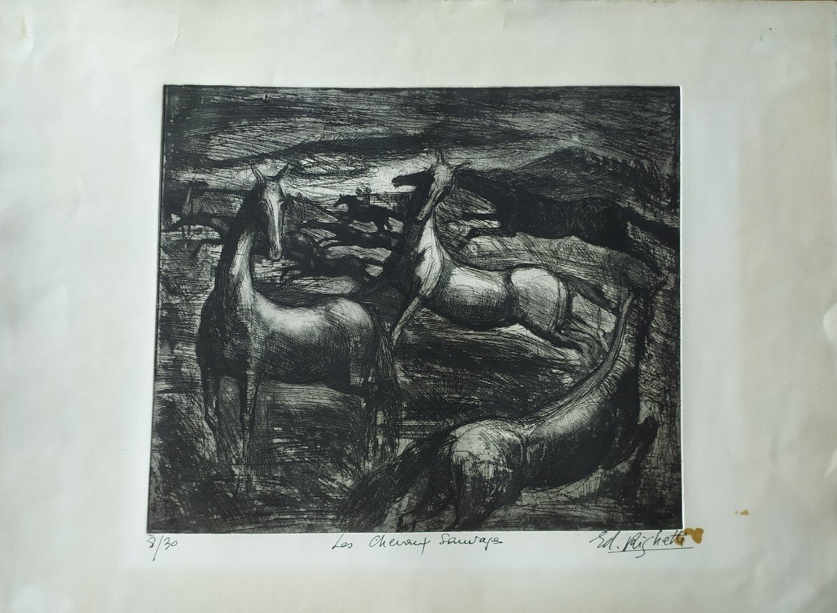 Engraving By E.righetti. "wild Horses"-photo-3