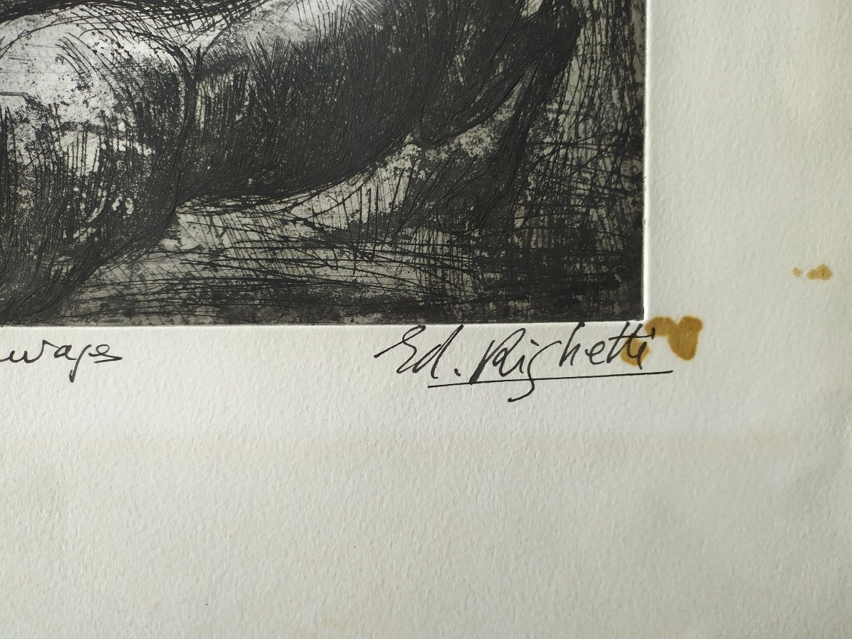 Engraving By E.righetti. "wild Horses"-photo-4