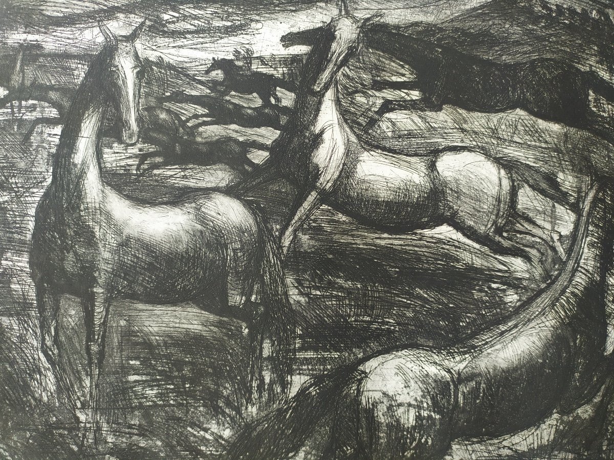 Engraving By E.righetti. "wild Horses"