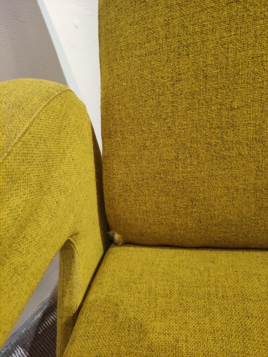 Paire de fauteuils italiens, Modèle "Delfino" , de Erberto Carboni-photo-4