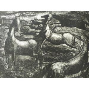 Engraving By E.righetti. "wild Horses"