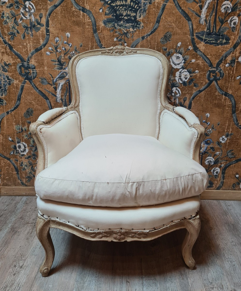 Bergère d'époque Louis XV -photo-2