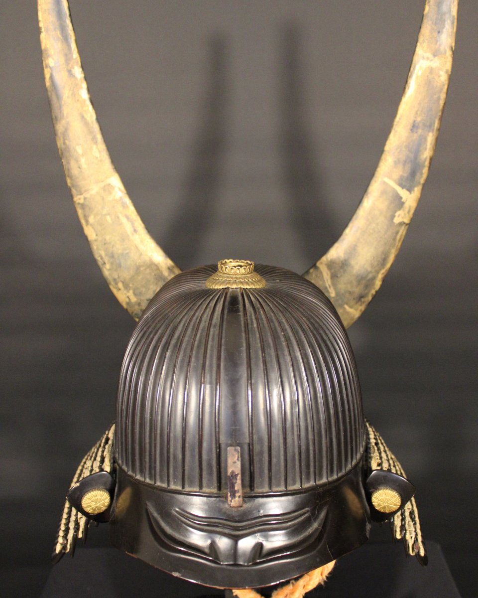 Suji Bachi Kabuto Kabuto - Nkbkhk Certificate-photo-4