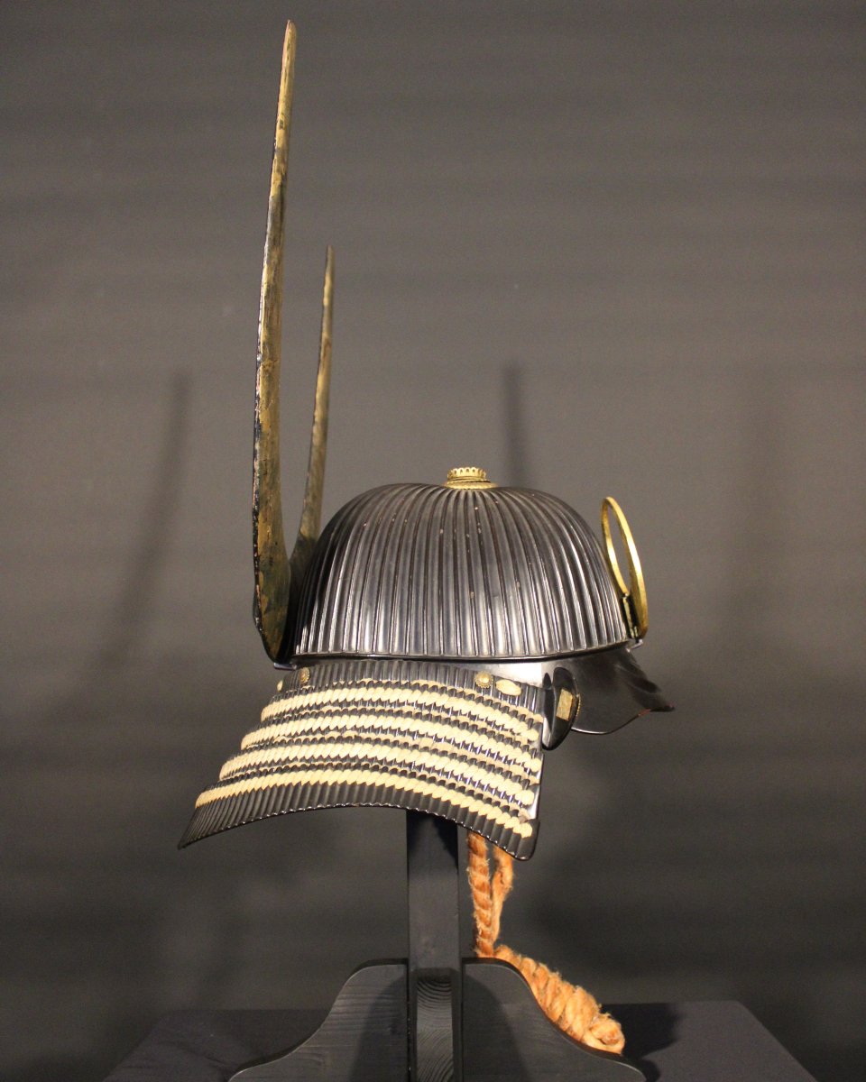 Suji Bachi Kabuto Kabuto - Nkbkhk Certificate-photo-1