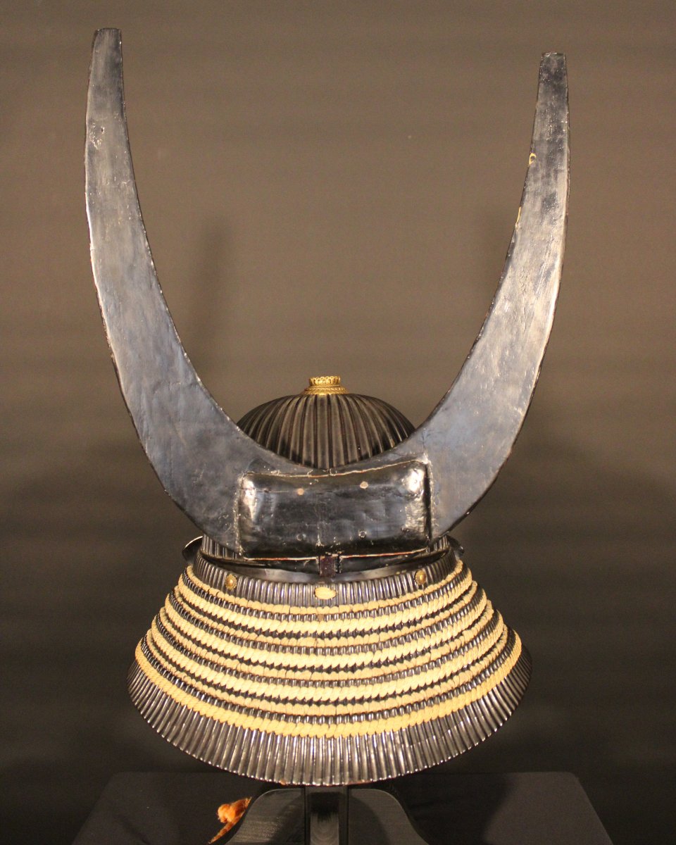 Suji Bachi Kabuto Kabuto - Nkbkhk Certificate-photo-2