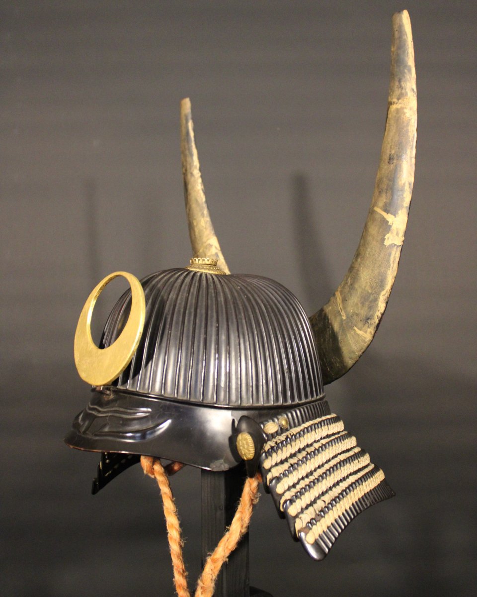 Suji Bachi Kabuto Kabuto - Nkbkhk Certificate-photo-5